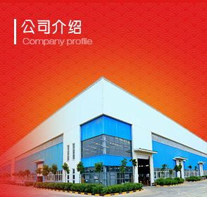 公司簡介